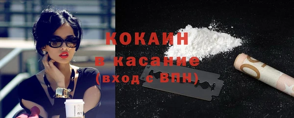 ECSTASY Горняк