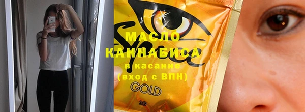 ECSTASY Горняк