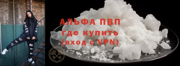 ECSTASY Горняк