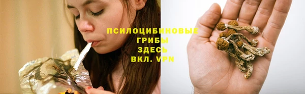 ECSTASY Горняк