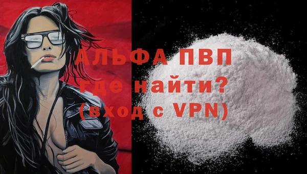 ECSTASY Горняк
