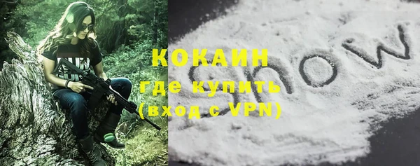 ECSTASY Горняк