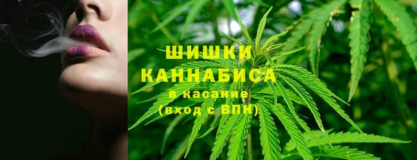 ECSTASY Горняк