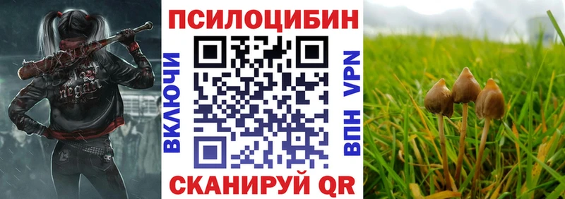 Купить  Узловая  Галлюциногенные грибы MAGIC MUSHROOMS 